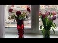 Мои любимые цветы к 8 марта !