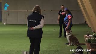 Qualification - Alexandra Krivohlava My Free Man V.de Hartenhoeveborder Collie - Czech Republic