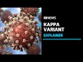 What is the COVID-19 Kappa variant and how dangerous is it? | ABC News