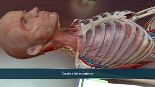 Visible Body | Human Anatomy Atlas 2021 screenshot 2