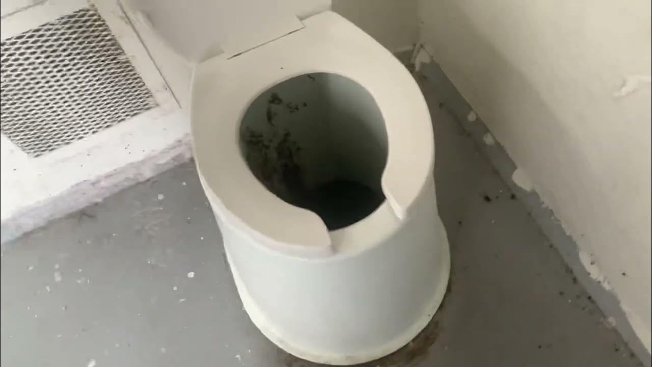 Two Vault toilets (further restroom) YouTube