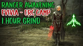 BDO - Ranger Awk PvE l Elvia Orc Camp