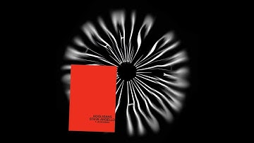 Steve Angello - Hooligans
