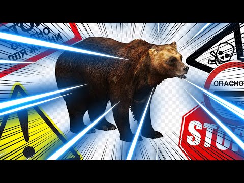 Как Спастись От Лесного Медведя