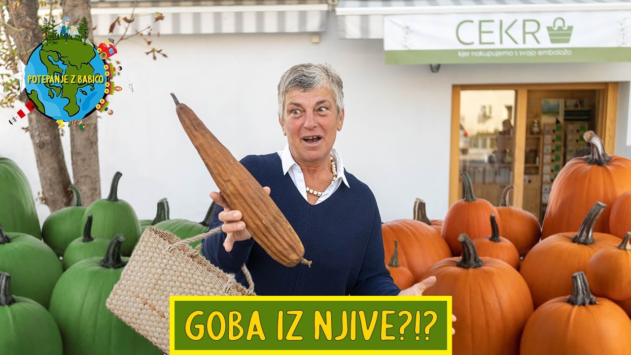 Lufa in Cekr | Potepanje z Babico