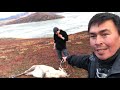 Aavarneq 2018  - Rensdyrjagt 2018 Del 1- Reindeer hunting 2018 Part 1