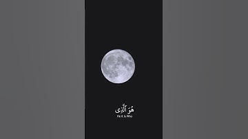 سورة الأحزاب الآية 41|Surah Al-Ahzab 41
