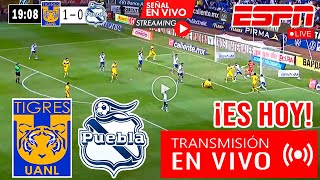 Tigres vs Puebla EN VIVO🔴 CUARTOS DE FINAL | Ver Tigres vs Puebla Liga MX 2023