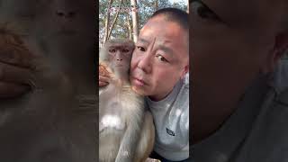 As big as your heart is, so are your dreams. Monkey Zoo Monkey