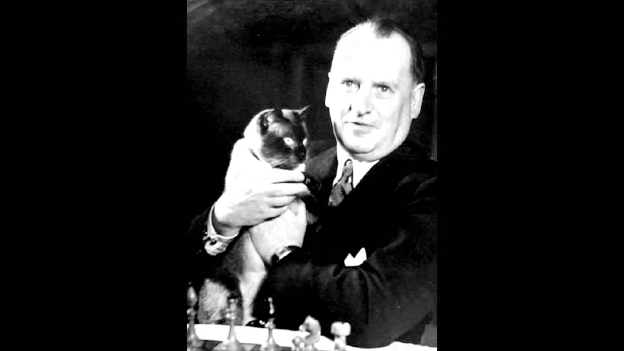 Champions Chess Tour on X: Did you know the former world champion Alekhine  had a cat named «Chess» that often went with him to tournaments? Alekhine's  love for his cat annoyed his