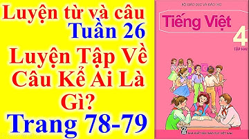 Tiếng Việt Lớp 4 Tuần 26 Luyện Từ Và Câu – Luyện Tập Về Câu Kể Ai Là Gì – Trang 78 - 79