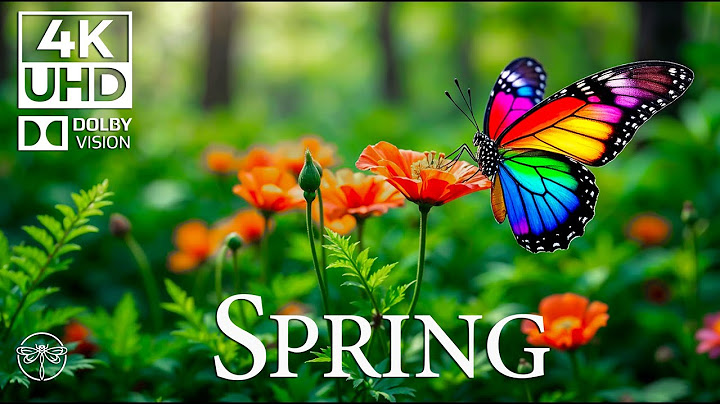 Moments with Butterflies 4K 🦋 | Soothing Nature Piano Music & Insect Life 🍃 • 4K UHD