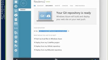 Flies Demo Node Git Publishing
