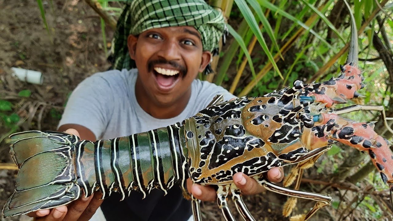 GIANT LOBSTER BRIYANI !!! Lobster Recipe in Tamil சுவைகளின் அரசன்