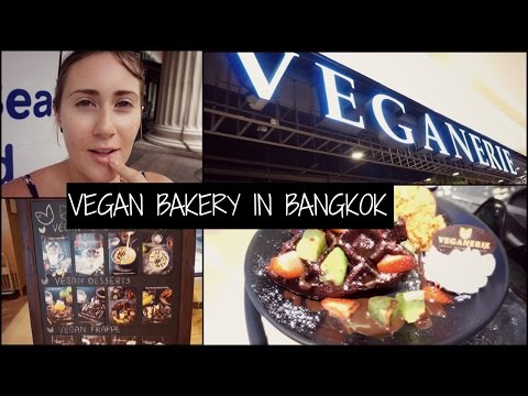 Overnight Train and Vegan Bakery in Bangkok 2015 | Topless Cat Lady