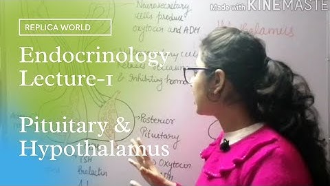 Endocrinology Lecture-1 | Animal Physiology | CSIR NET Lifescience 2021