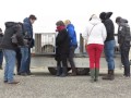 Zeehonden Ecomare weer gezond de zee in I Ecomare Texel Mp3 Song