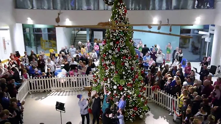 Alder Hey in the Park Christmas Lights Switch-on 2016