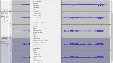 How to make Imposter X on AVS and Audacity