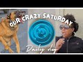VLOG | YT Dogs Chases AA & Dog | Trying a Slow Dog Eating Bowl |