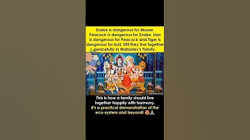 Har Har Mahadev 🕉️🙏#harharmahadev #shiv #om #shivshakti #sanatandharma #shorts #god #ytshorts #viral