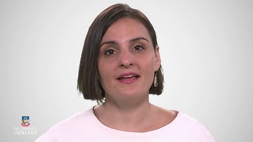 RiskX: Risk identification