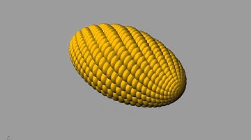 Corncob made with a rhinopython script