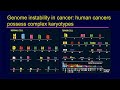 Evolution of Genome Instability in Cancer with Don Cleveland - Sanford Stem Cell Symposium
