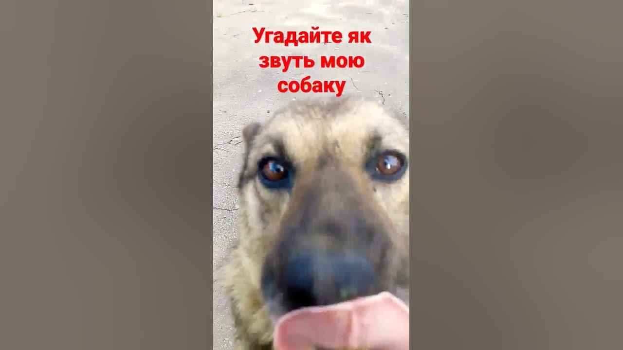 Слава Украини - YouTube
