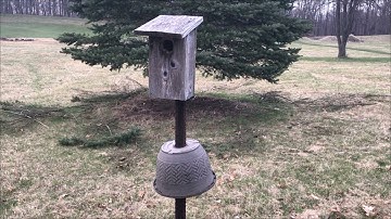 OldGuyDIY Bluebird Bird House Post Predator Coon Squirrel Guard of Hanging Plant Base & Fencing Wire