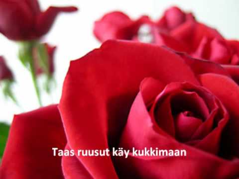 Video: Suosituimmat Ruusut Koilliseen