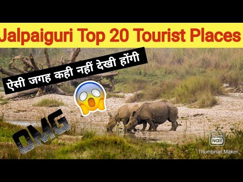 Jalpaiguri Tourists Place To Visit.Complete Tour Guide 2022 #jalpaiguri #wildlife #dooars #siliguri