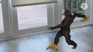 Monkey throws banana at @Colepiersall’s house
