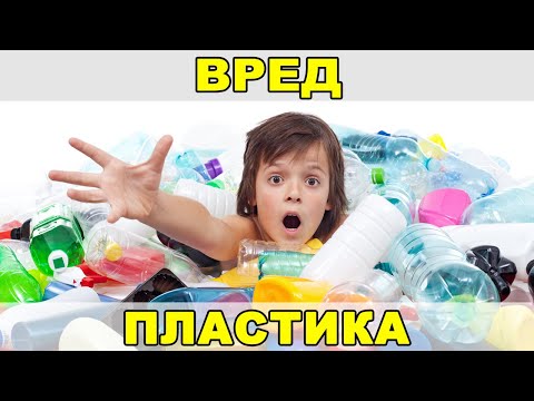 Вред пластика для здоровья человека и окружающей среды – Бисфенол А, Фталат, Формальдегид, Диоксин