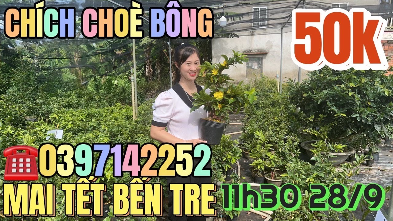 Chi Chích chòe – Wikipedia tiếng Việt