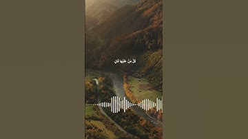 الشيخ محمد صديق المنشاوي #القرآن_الكريم #اكسبلور #اكسبلور_فولو #تلاوة_خاشعة