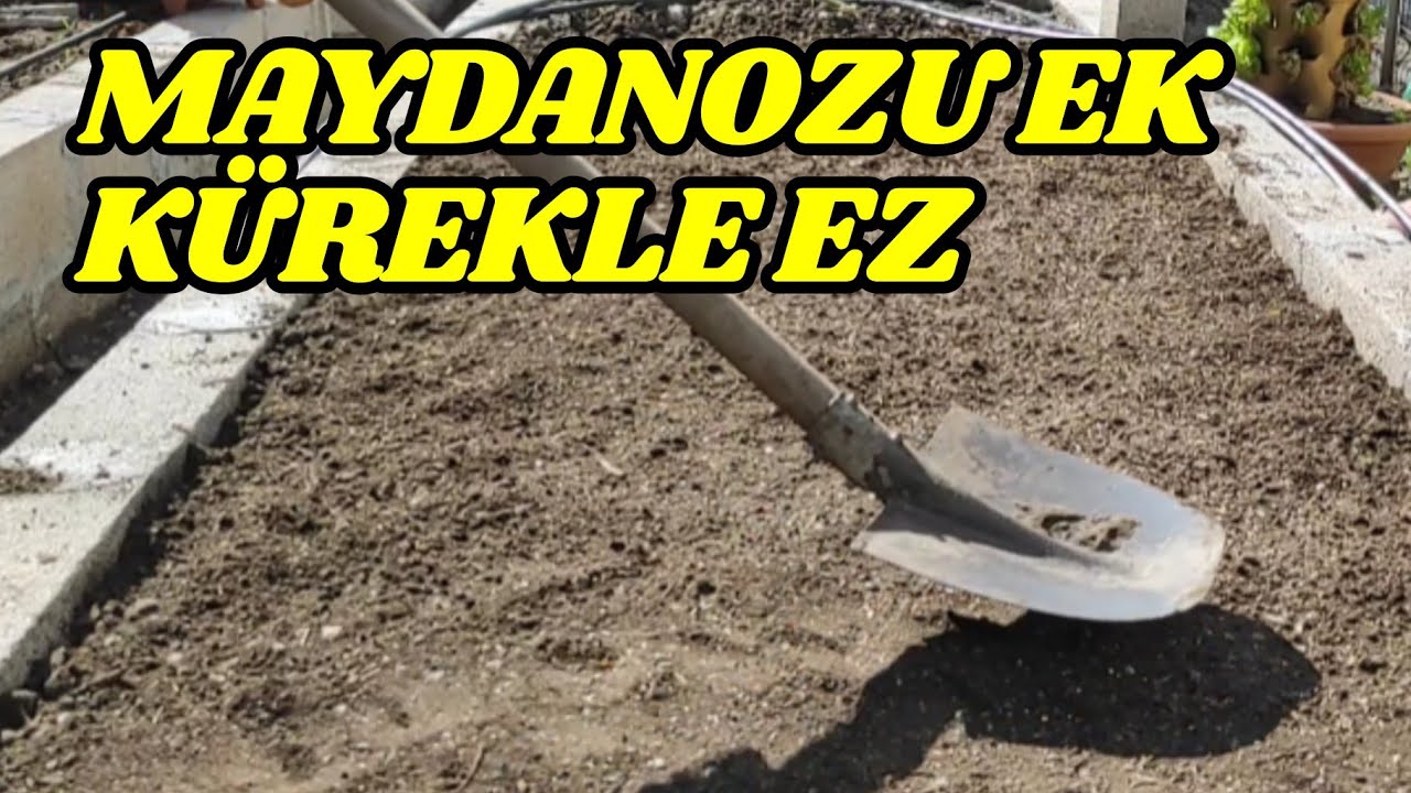 Maydanoz Tohumunu Ek, Kürekle Ez