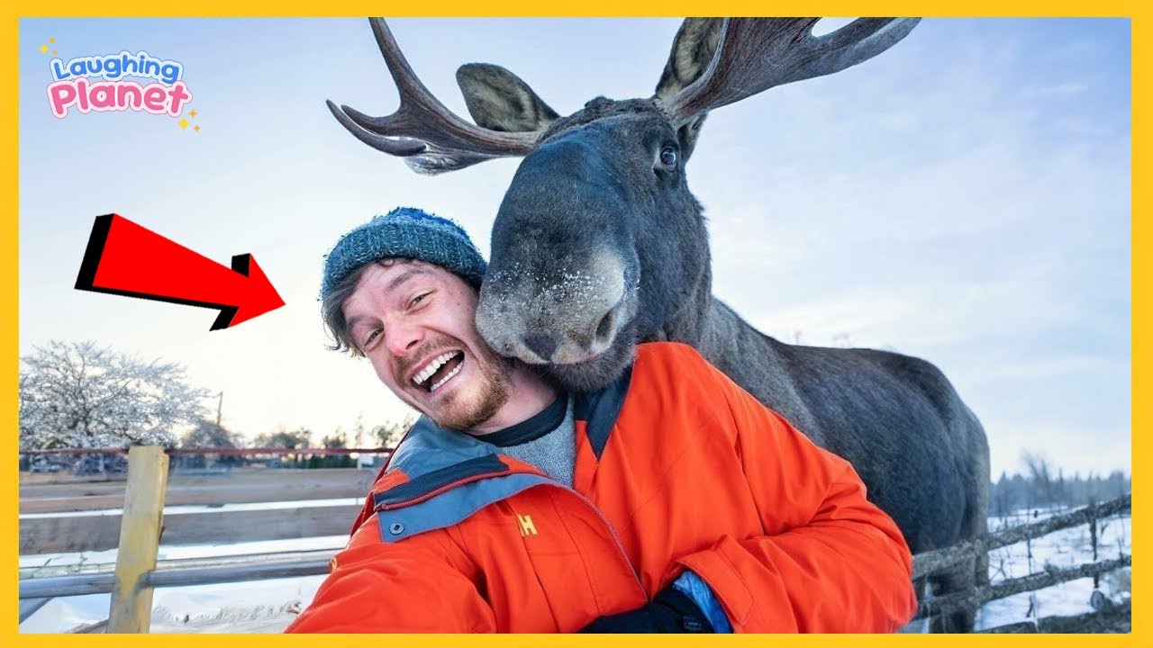 Когда животные удивляют людей самым невероятным образом 🤪Забавные видео с животными и людьми 2026