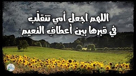سورة الأحزاب من الآية ١١ إلى الآية ٢٠