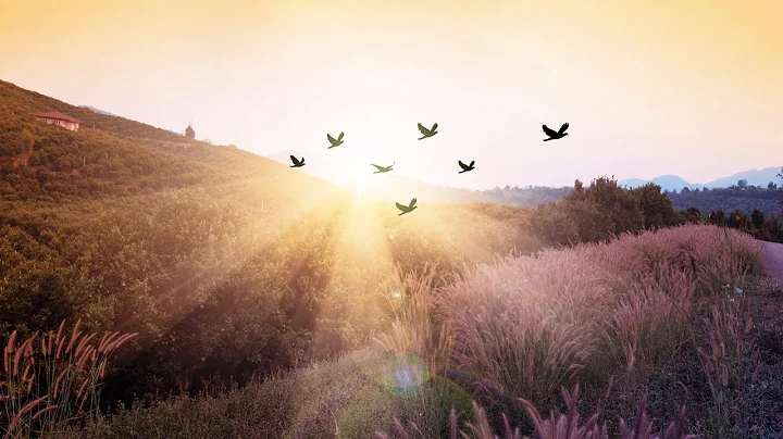 Fireside Sermon - Easter Sunday - April 12, 2020