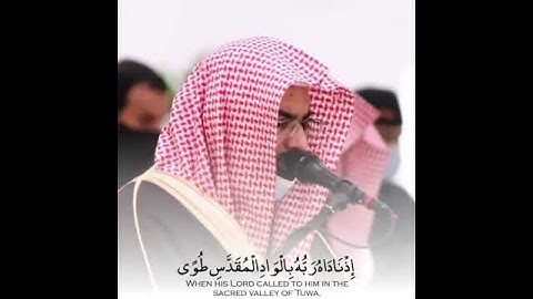 ناصر القطامي ارح سمعك.. تلاوة هادئة تريح القلب والعقل♥️🎧  💖مقاطع قصيرة قرآن 💙حالات واتس أب 🖤