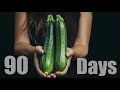 Growing Zucchini from Seed To Fruit (90 Days Time-Lapse)