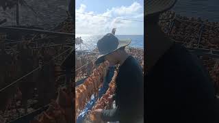 Strange “Winged” Boats at Sea That Are Actually Vietnam’s Squid Fishing Vessels