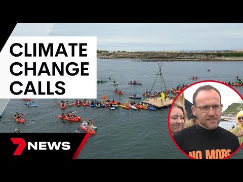 Protesters rally in Newcastle over fossil fuel production | 7 News Australia
