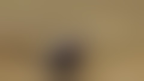 Best Fails Of The Week 2 August 2014 FailArmy