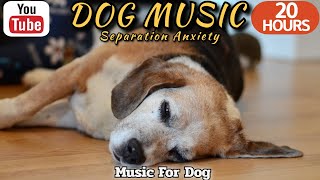 20 HOURS of Dog Calming Music🐶💖Dog Healing Sleep 🦮🎵Anti Separation Anxiety Relief Music⭐Healingmate