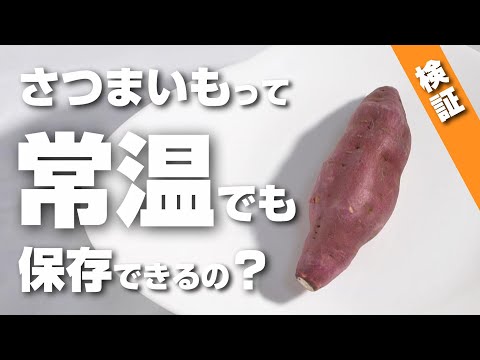 さつまいもって本当に常温でも保存できるの？検証したら意外な結果に！