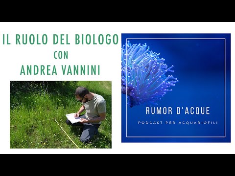 Video: L'istruzione fa la differenza nello stipendio di un biologo marino?