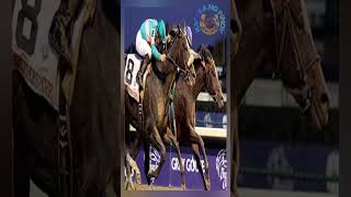 ZENYATTA : THE QUEEN WHO DANCED BEFORE SHE FLEW 