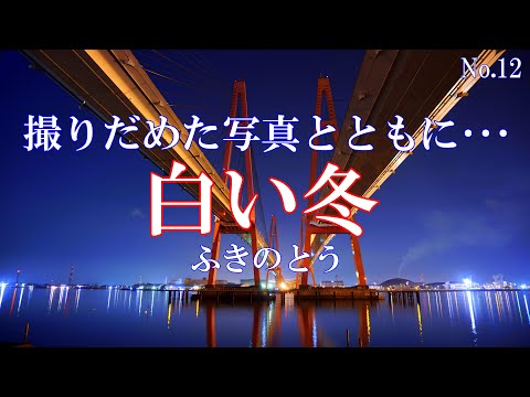 白い冬／ふきのとう：歌詞付